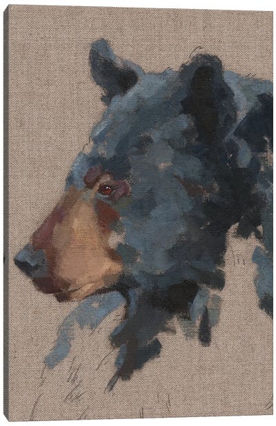 Big Bear IV Canvas Art Print - Black Bears
