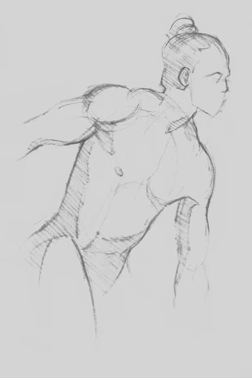 Male Torso Sketch II