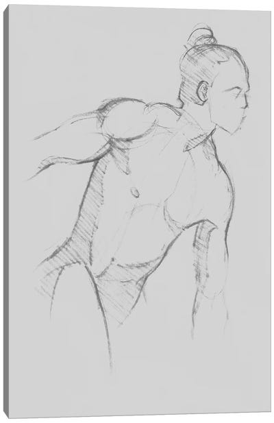 Male Torso Sketch II Canvas Art Print - Male Nude Art