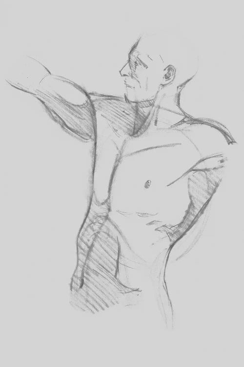 Male Torso Sketch IV