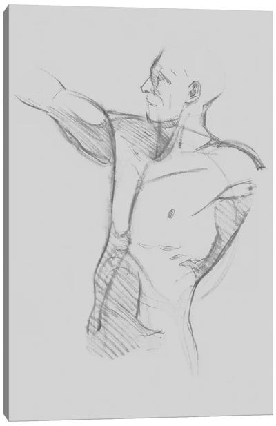 Male Torso Sketch IV Canvas Art Print - Male Nudes