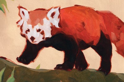Red Panda II by Jacob Green canvas print