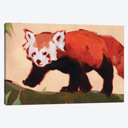 Red Panda II Canvas Print #JCG205} by Jacob Green Canvas Art Print