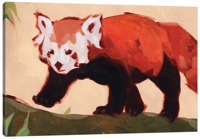 Red Panda II Canvas Art Print - Red Panda Art