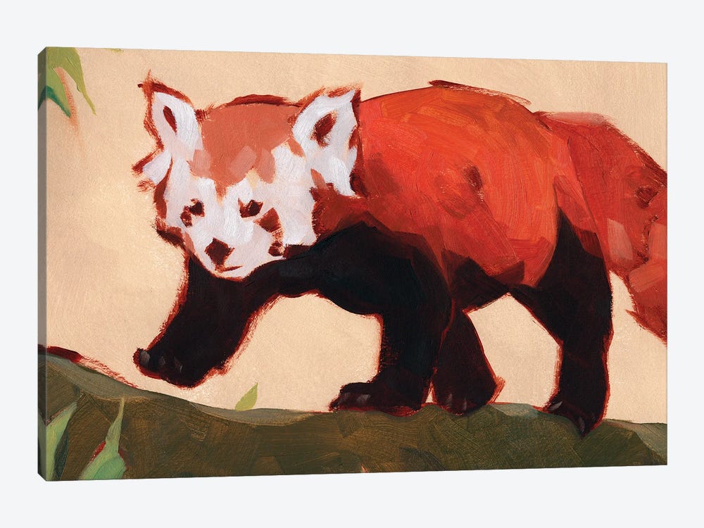 Red Panda II by Jacob Green 1-piece Canvas Print