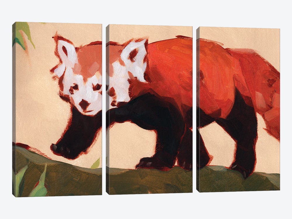 Red Panda II by Jacob Green 3-piece Canvas Print
