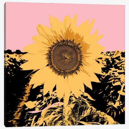 Pop Art Sunflower III Canvas Print #JCG230} by Jacob Green Art Print