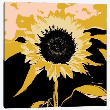 Pop Art Sunflower IV Canvas Print #JCG231} by Jacob Green Canvas Art Print