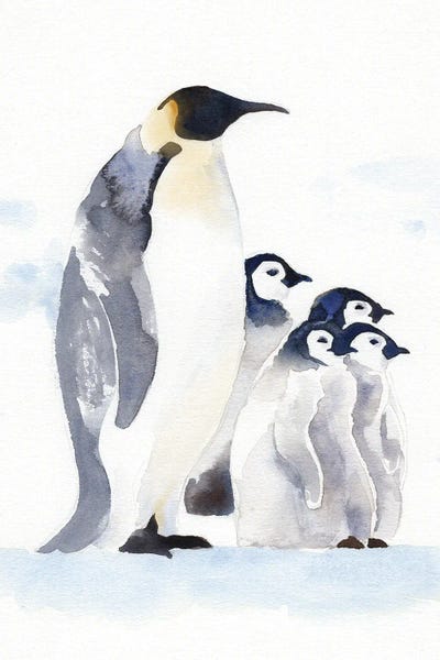 Penguins: Emperor Penguins I by Jacob Green