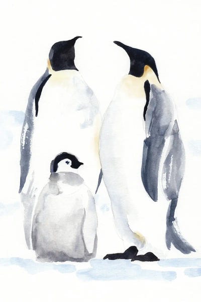 Penguins: Emperor Penguins II by Jacob Green