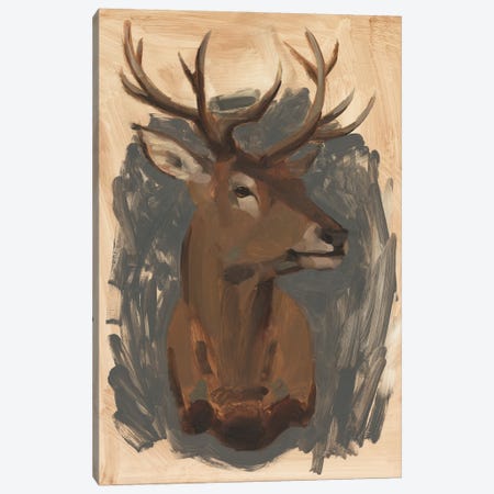 Red Deer Stag I Canvas Print #JCG23} by Jacob Green Canvas Art Print