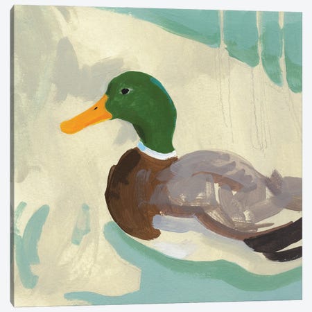 Bathing Mallard II Canvas Print #JCG243} by Jacob Green Canvas Artwork