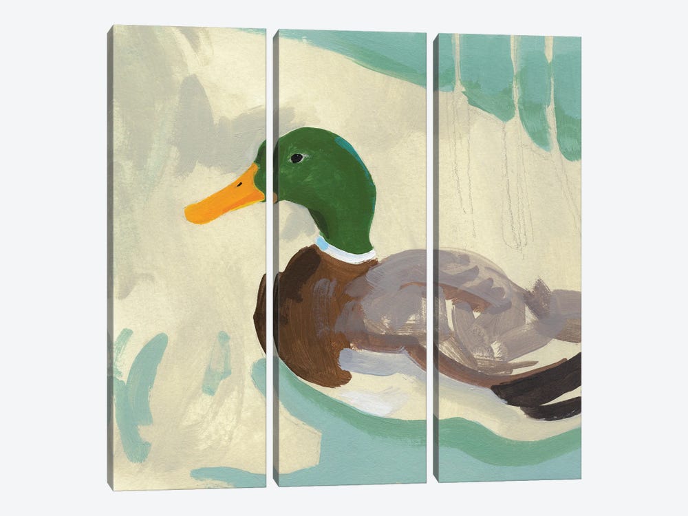 Bathing Mallard II by Jacob Green 3-piece Canvas Art Print