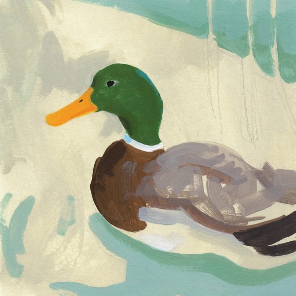 Ducks: Bathing Mallard II by Jacob Green
