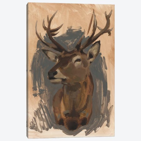 Red Deer Stag II Canvas Print #JCG24} by Jacob Green Canvas Artwork