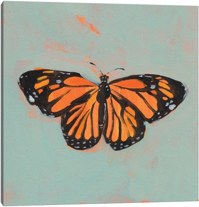 Light Monarch I Canvas Art Print - Monarch Butterflies