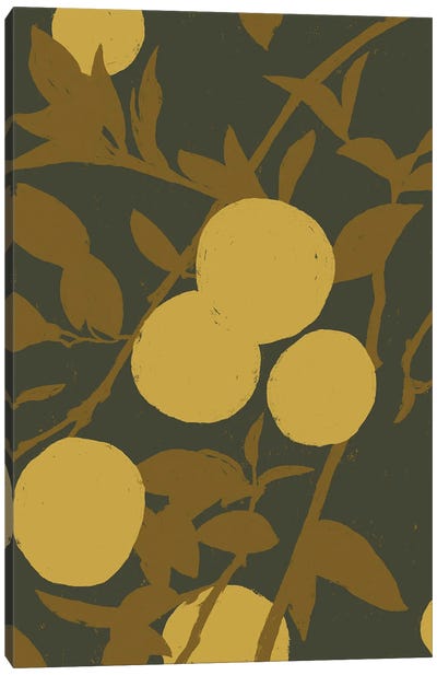 Golden Satsuma I Canvas Art Print - Jacob Green