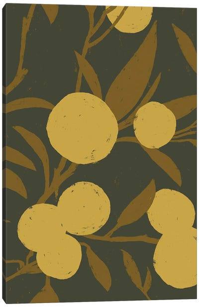 Golden Satsuma II Canvas Art Print - Jacob Green