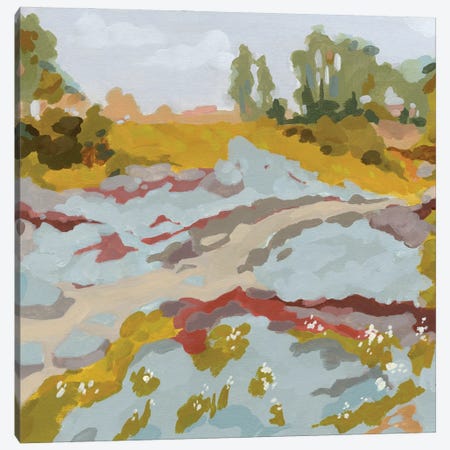 Lowland River I Canvas Print #JCG58} by Jacob Green Canvas Artwork