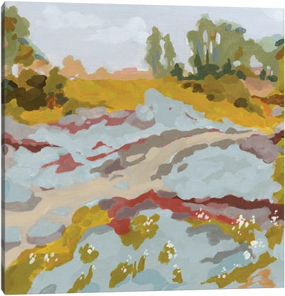 Lowland River I Canvas Art Print
