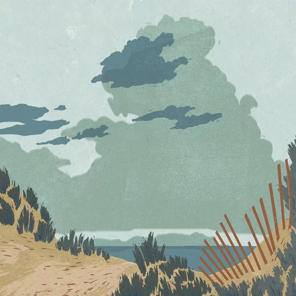 Coastal Sand Dunes: Hidden Dune I by Jacob Green