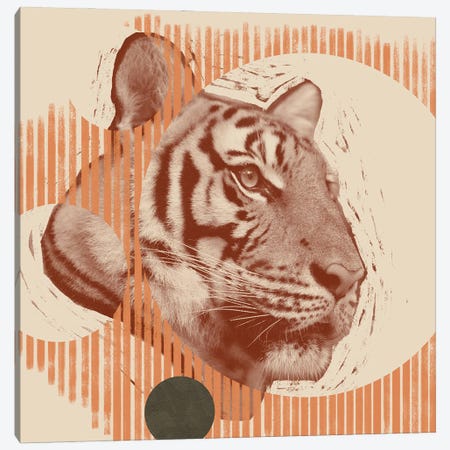 Pop Art Tiger I Canvas Print #JCG60} by Jacob Green Canvas Print