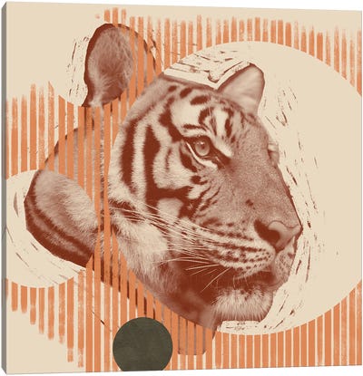Pop Art Tiger I Canvas Art Print - Jacob Green