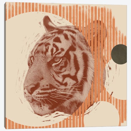 Pop Art Tiger II Canvas Print #JCG61} by Jacob Green Canvas Print