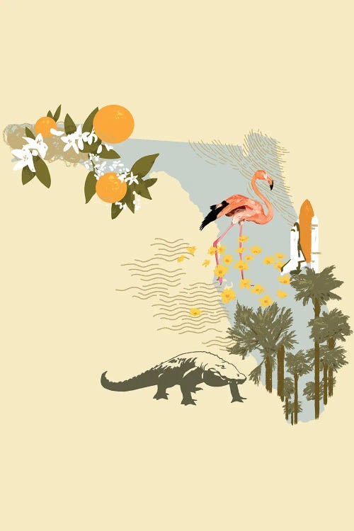 Illustrated State-Florida by Jacob Green canvas print