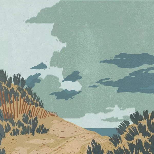 Coastal Sand Dunes: Hidden Dune II by Jacob Green