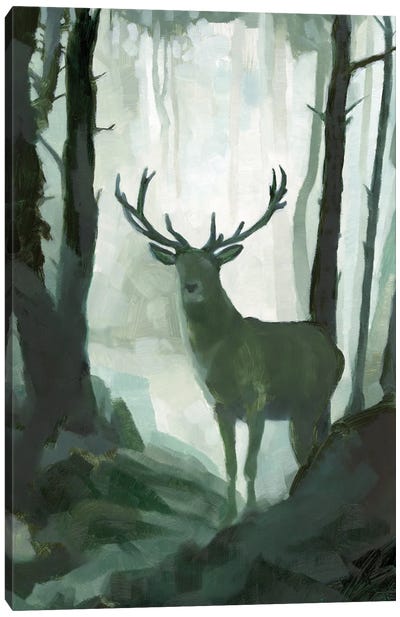 Elemental Animals I Canvas Art Print - Jacob Green