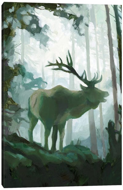Elemental Animals II Canvas Art Print - Elk Art