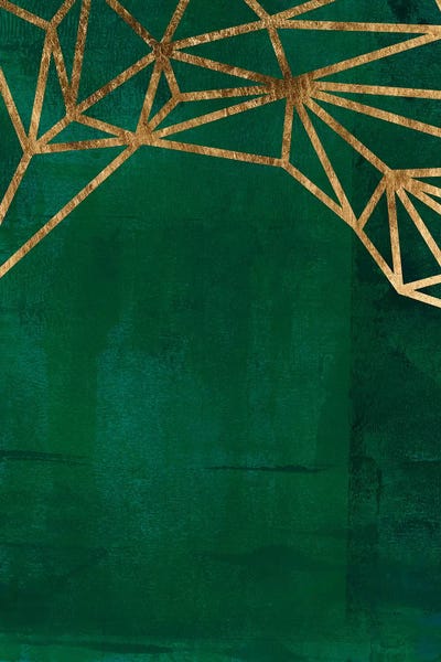 Jungle Web II by Jacob Green canvas print