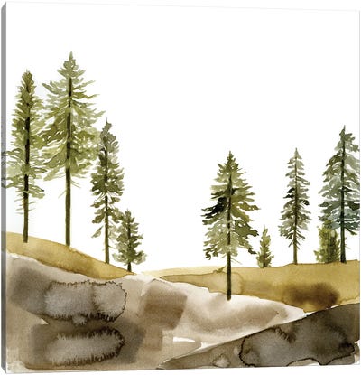 Pine Hill I Canvas Art Print - Jacob Green
