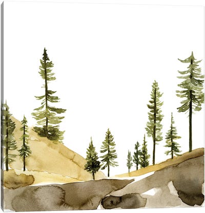 Pine Hill II Canvas Art Print - Pine Tree Art