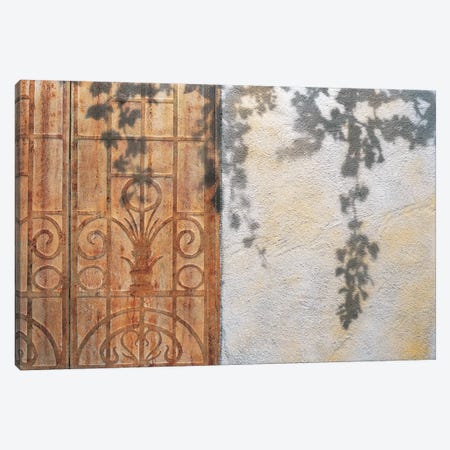 Rusty Door And Grapevine Canvas Print #JCI1} by Josep Cisquella Canvas Art Print