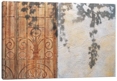 Rusty Door And Grapevine Canvas Art Print