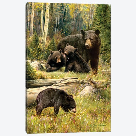 Black Bear Family Canvas Print #JCL1} by Greg Giordano Canvas Wall Art