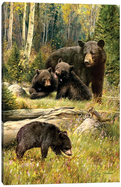 Black Bear Family Canvas Art Print - Bear Art