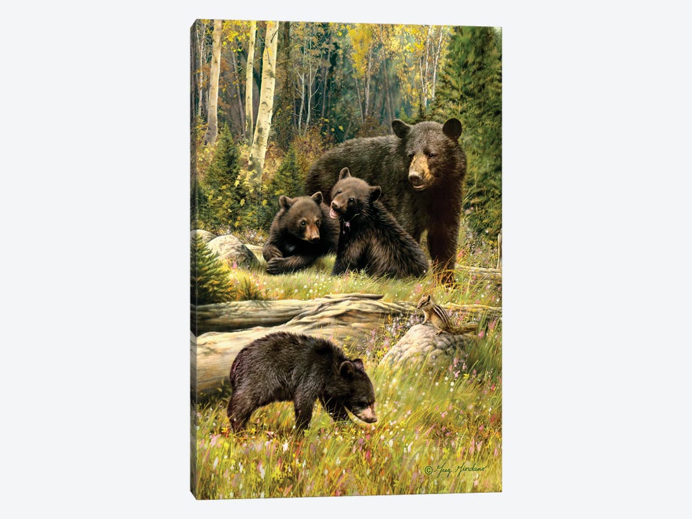 Black Bear Family by Greg Giordano 1-piece Canvas Print