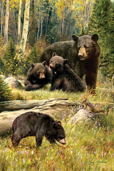 Greg Giordano: Black Bear Family by Greg Giordano