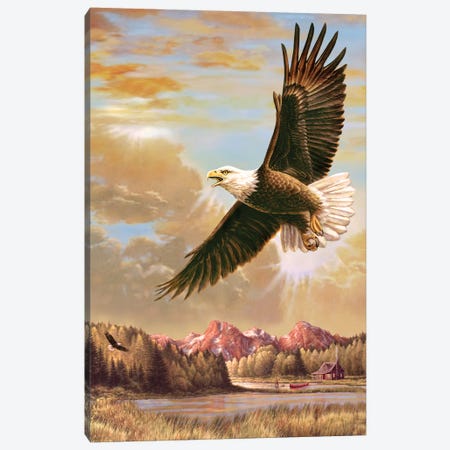 Up On High- Eagle Canvas Print #JCL2} by Greg & Company Canvas Wall Art