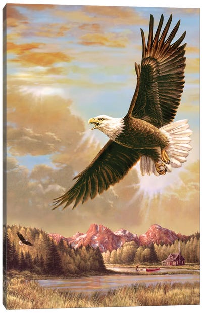 Up On High- Eagle Canvas Art Print - Eagle Art