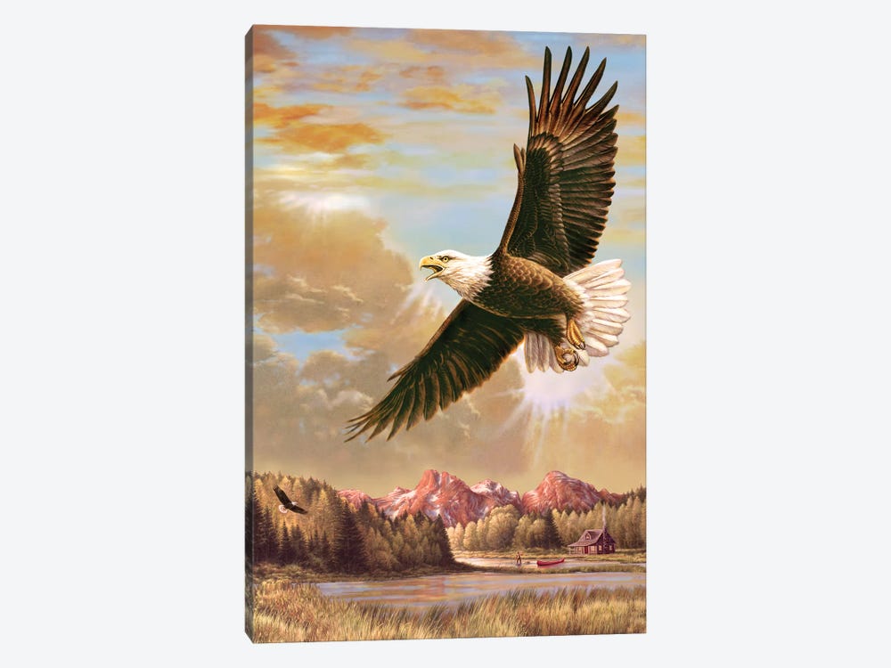 Up On High- Eagle by Greg Giordano 1-piece Canvas Wall Art