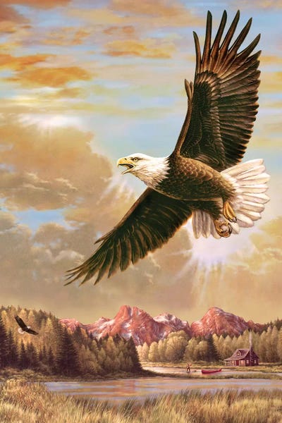 Greg & Company: Up On High- Eagle by Greg Giordano