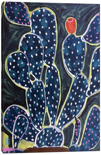 Smooth Cactus Canvas Art Print