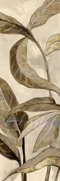 Jacob Q: Neutral Leaves by Jacob Q