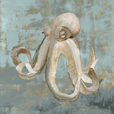 Octopus Dance by Jacob Q framed canvas print