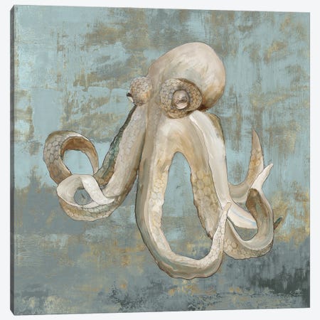 Octopus Dance Canvas Print #JCQ15} by Jacob Q Art Print