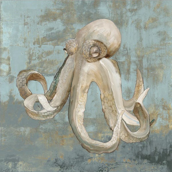 Octopus Dance